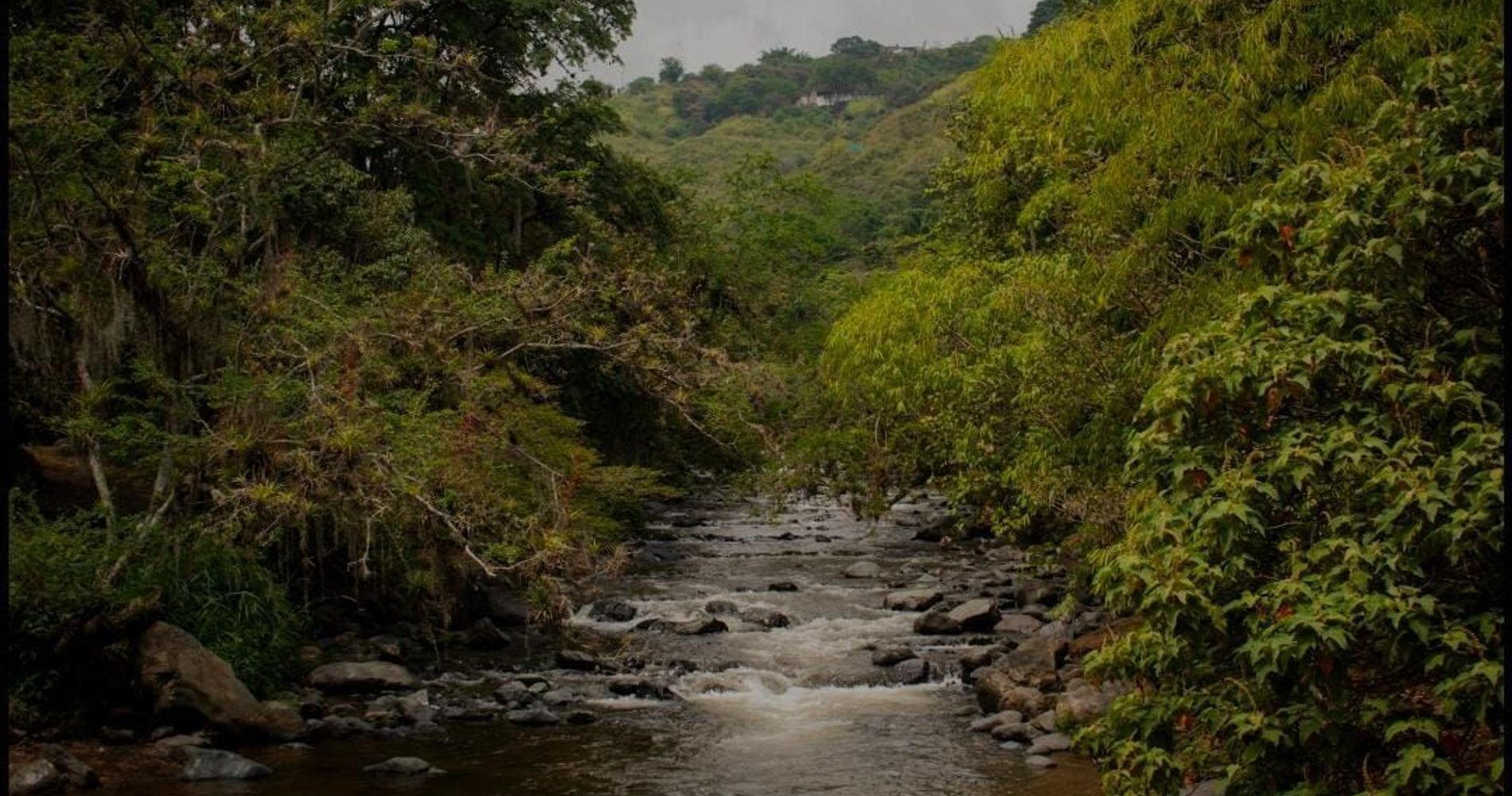 Hotel Riviera Boutique