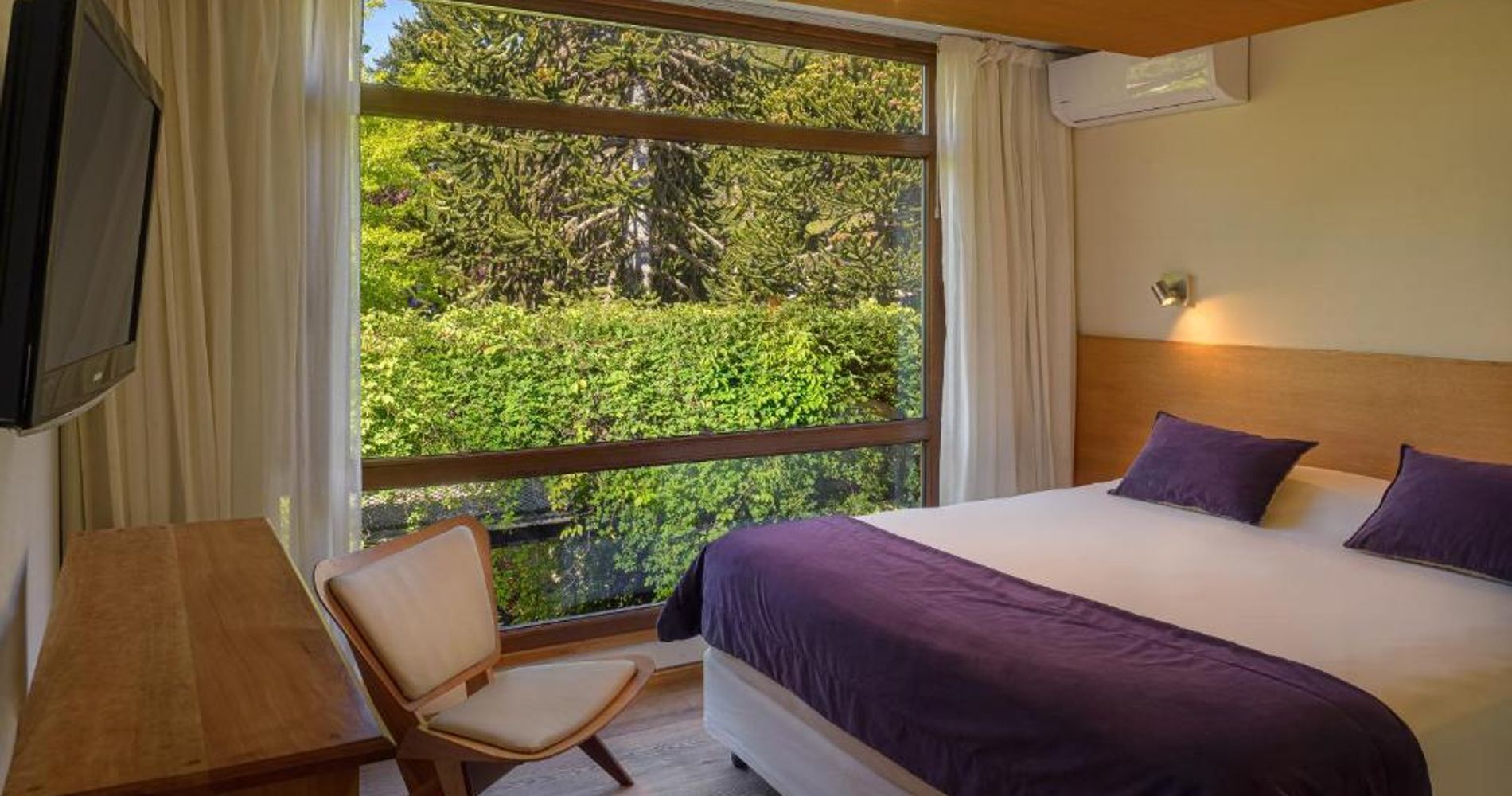 Amonite Apart & Spa