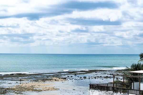 Flat Standard Pipa´s Ocean 