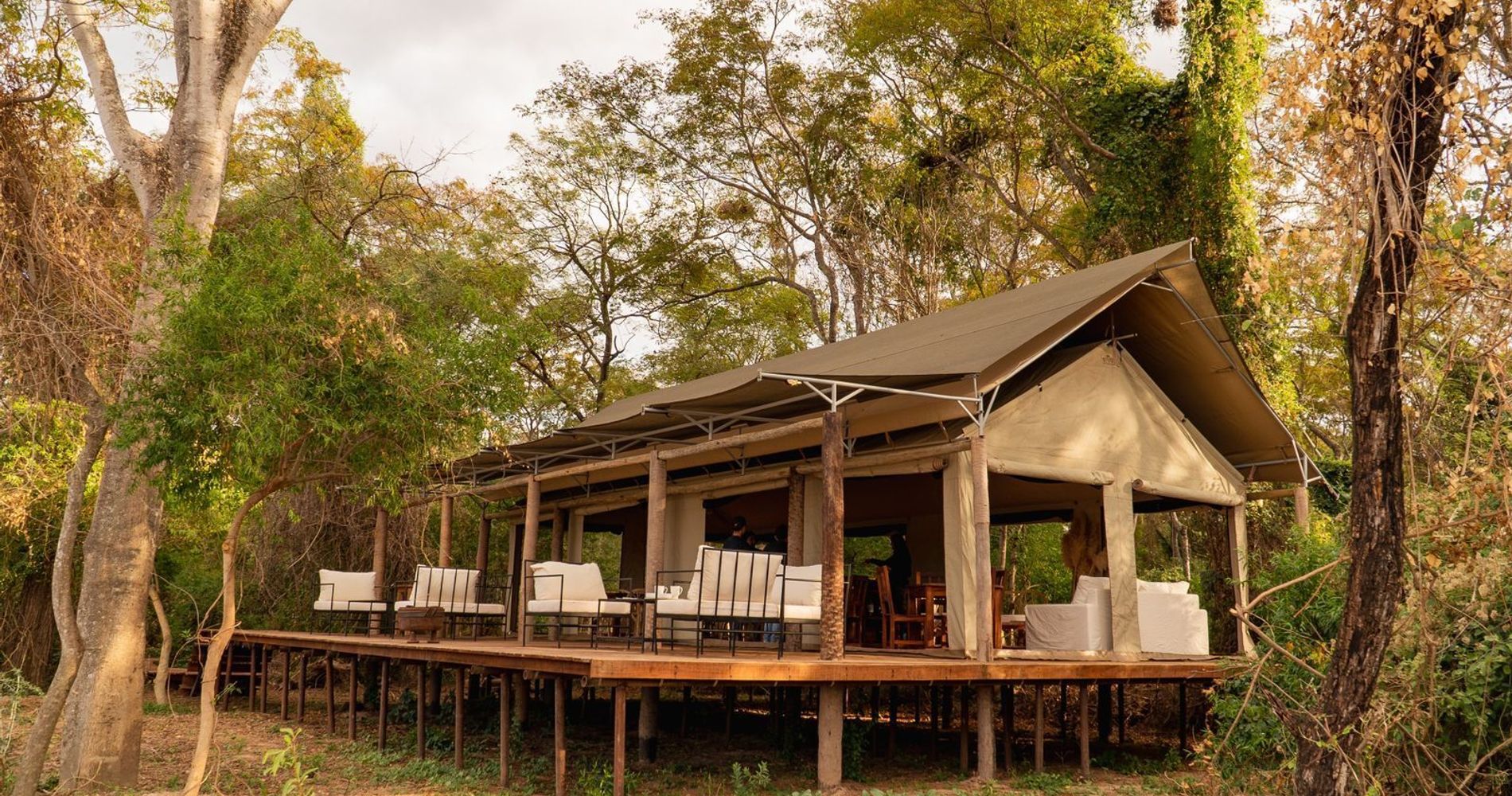 Glamping Los Palmares