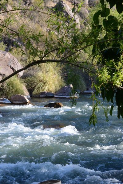 Cabañas Carü Leufu