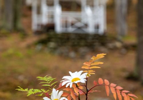 ¡SEMANA SANTA LLEGA CON DESCUENTOS  EN TU CABAÑA!