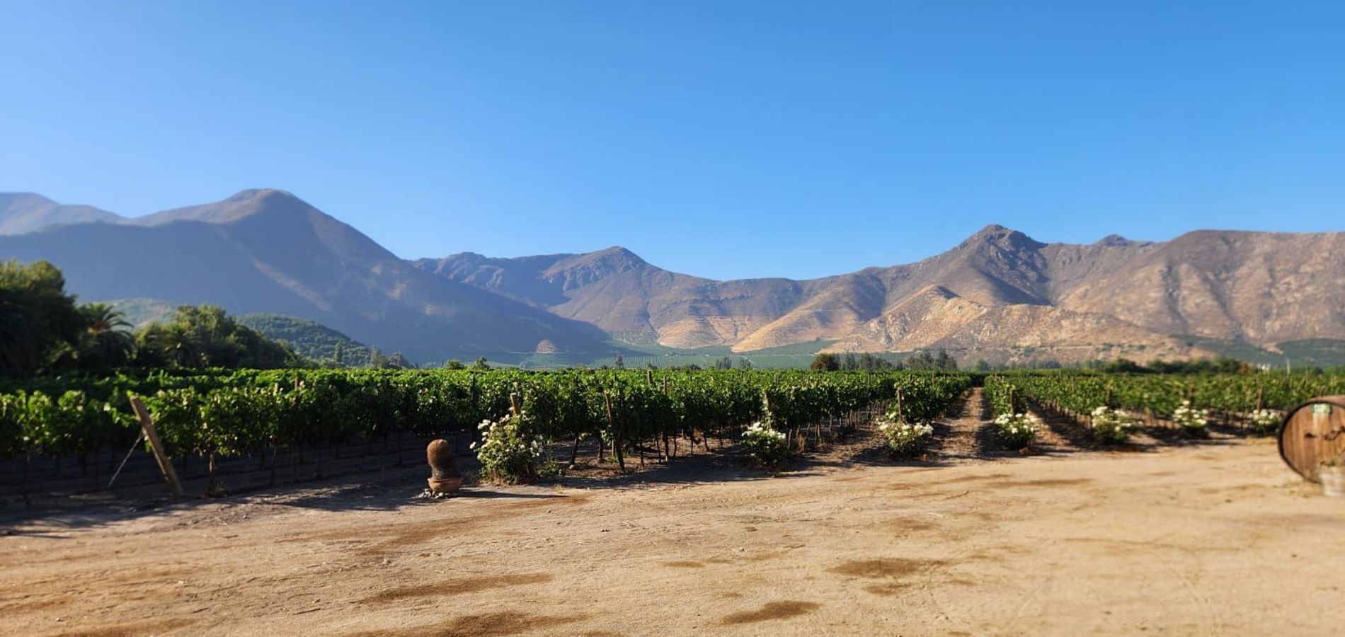 Hotel San Felipe El Real