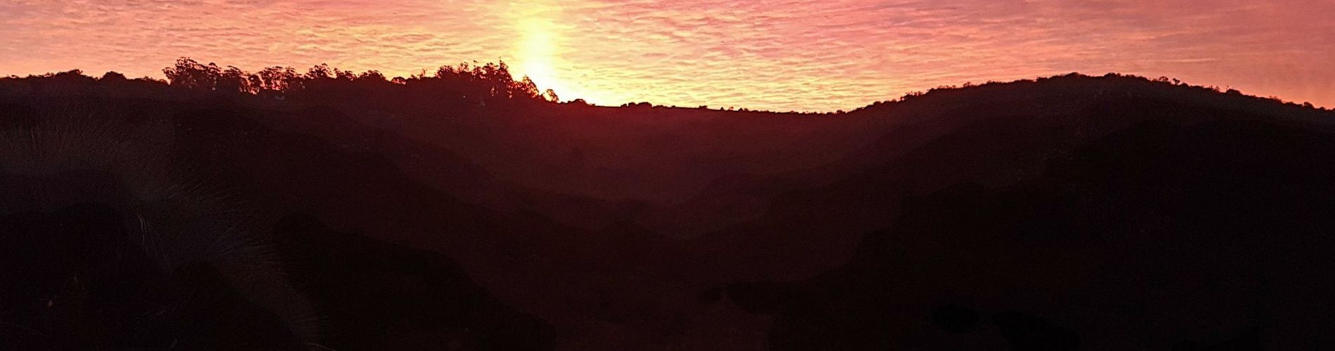 Mesón de Las Cañas