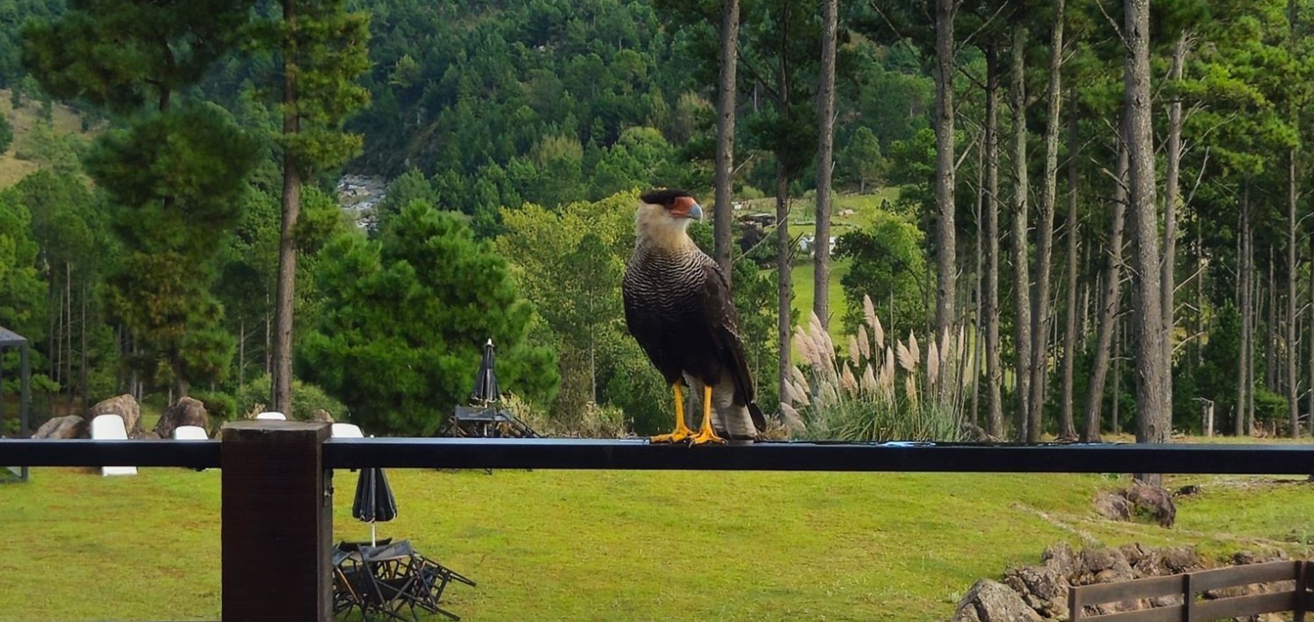 Cabañas Ayllu Pelli