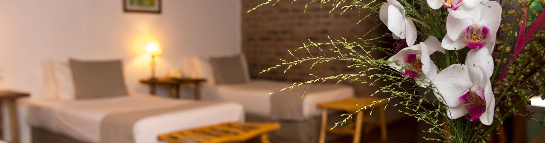 O Jungle Village Lodge