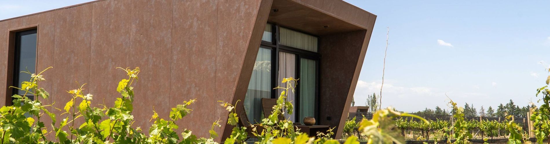 Andeluna Winery Lodge