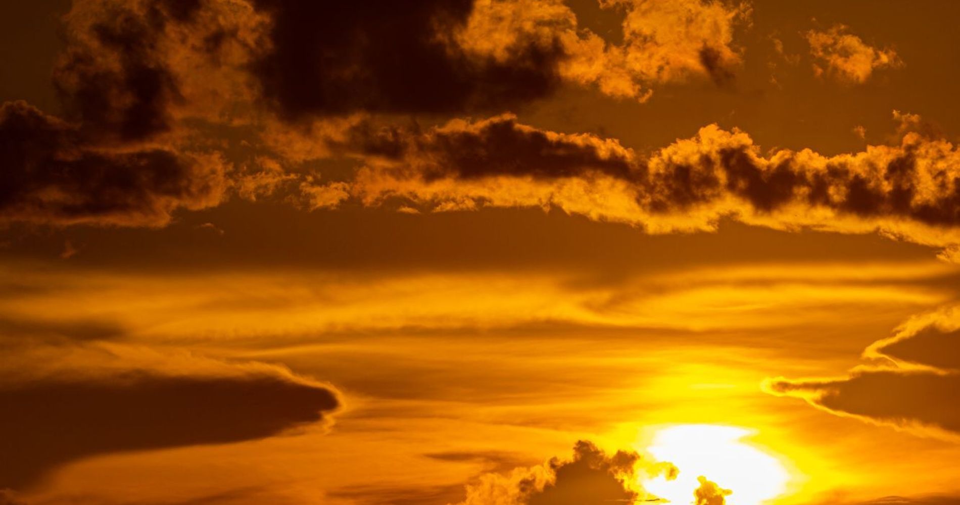 Heliconia Amazon River Lodge