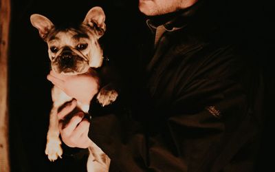 Villaelcastano2 - Mascotas pequeñas