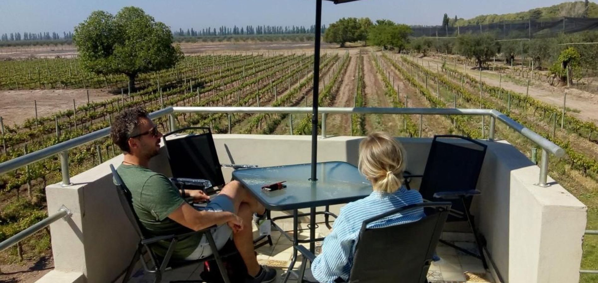 Posada Cavieres Wine Farm