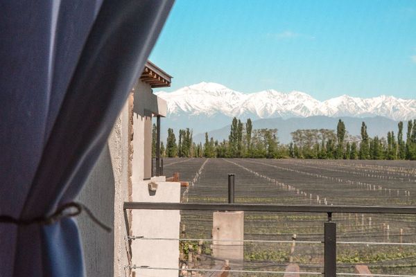 Exclusive Mountain View