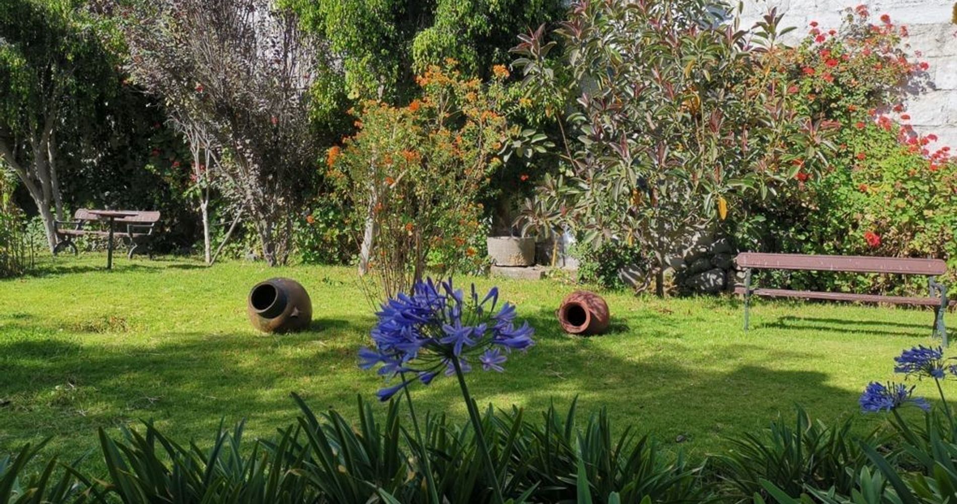 Nuestro jardín, un espacio para descansar y recargar energías.