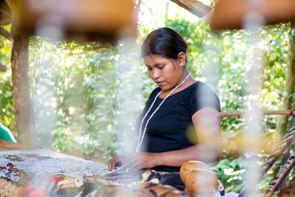 Glamping Selva Iguazú