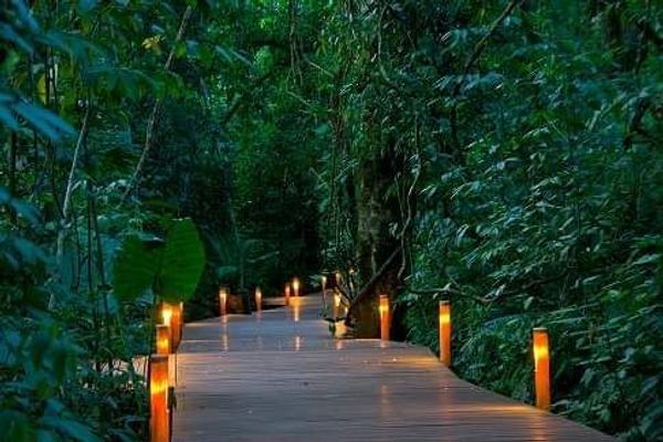 Cabaña Familiar Estandar hasta 4 personas