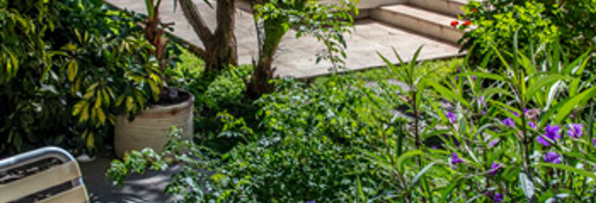 Paradise Departamentos