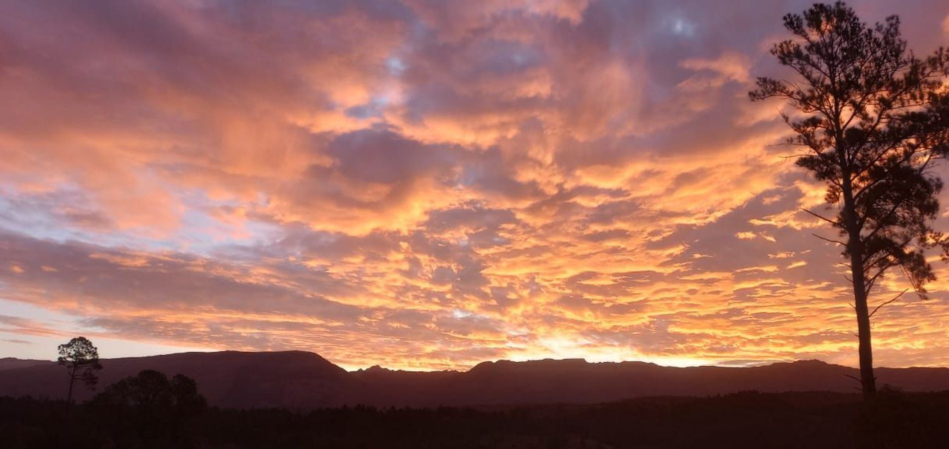 Cabañas Ayllu Pelli