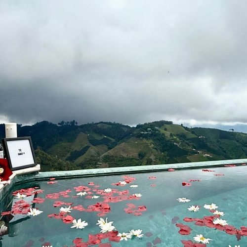 Entre Montes y Cafetales Glamping