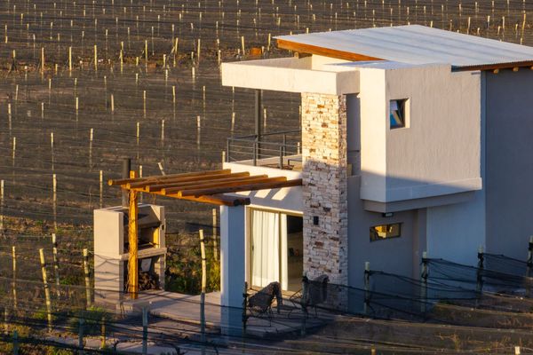 Agrelo Vines