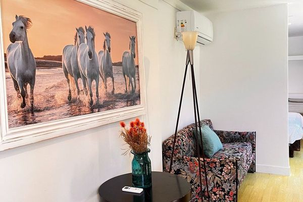 APART AL CAMPO LIPIZZANO