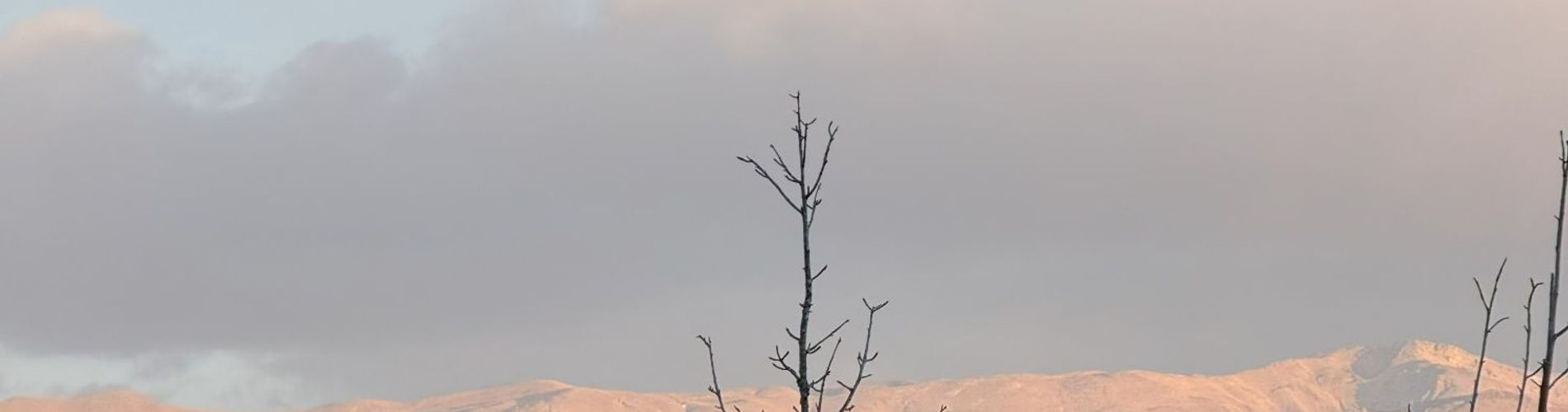 Tierras del Norte - Cabañas en Salta