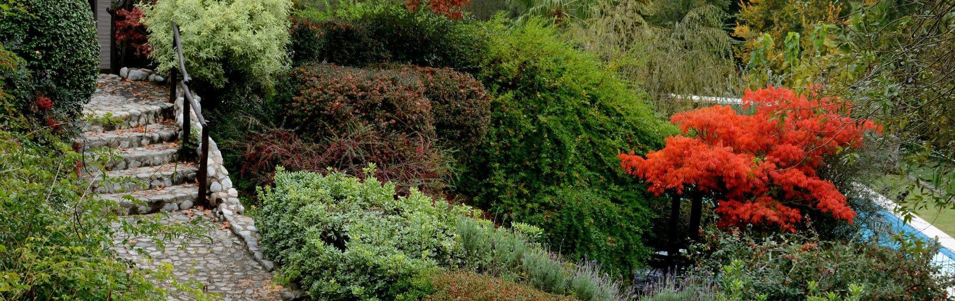 LAS ARDILLAS - CABAÑAS & SUITES - LA FALDA