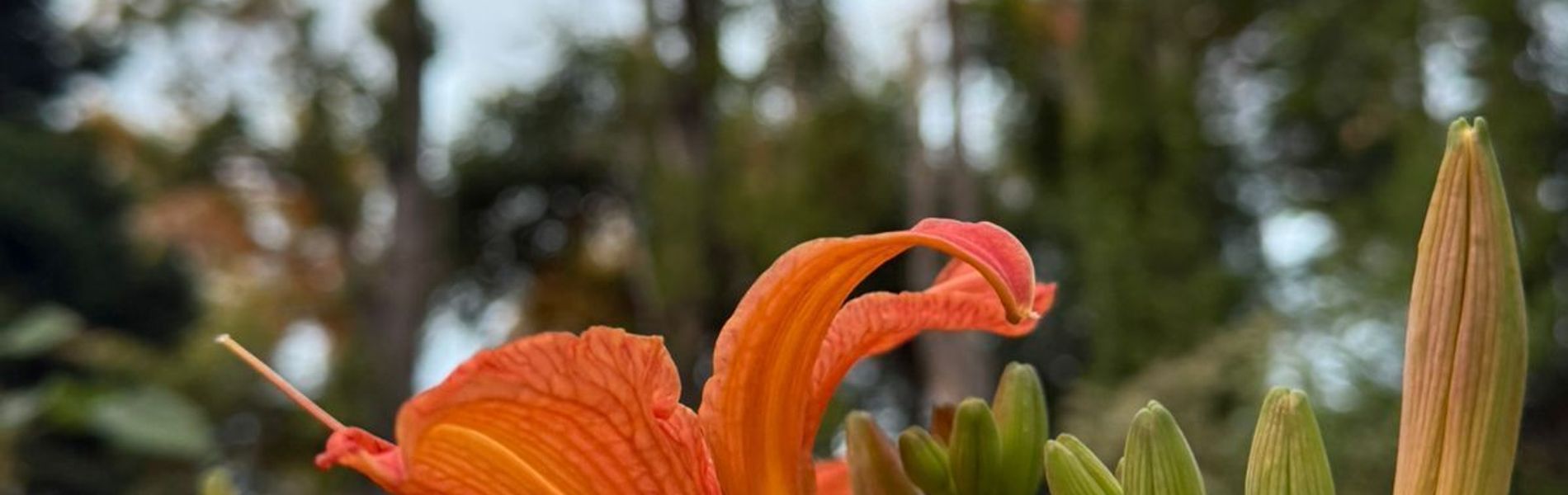 Hosteria Alta Montaña