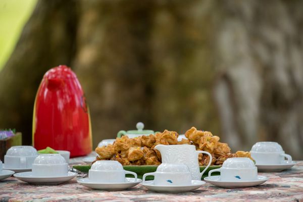 Día de campo Gaucho