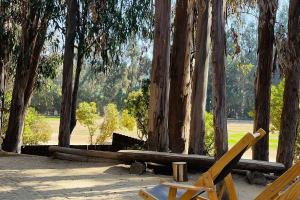 Cabaña bosque tiny dos ambientes