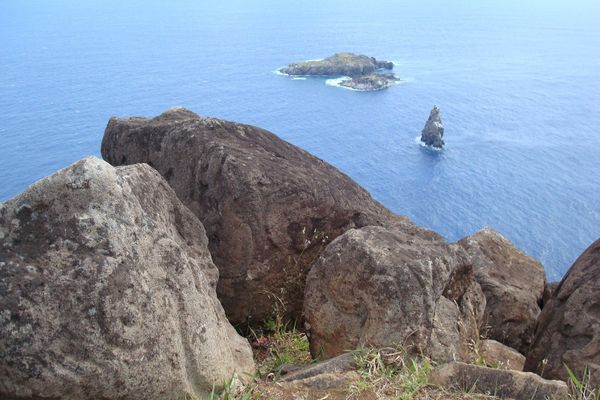 Ruta Tangata Manu - Half Day