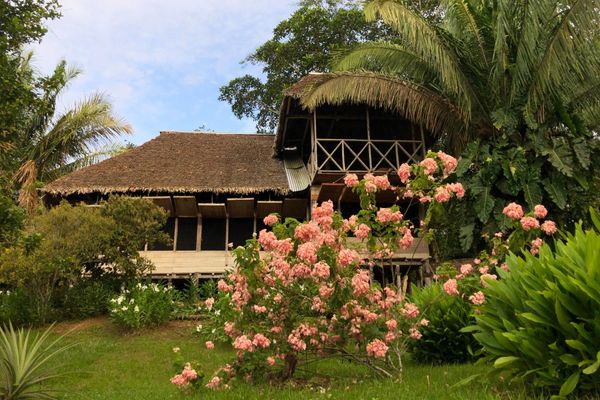 Family Cabin