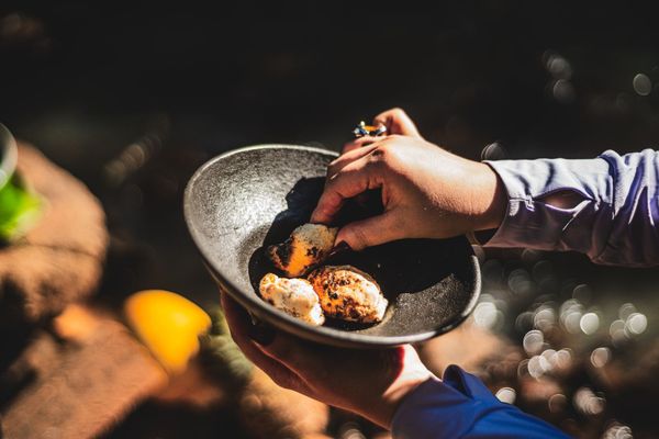 Glamping Selva Iguazú