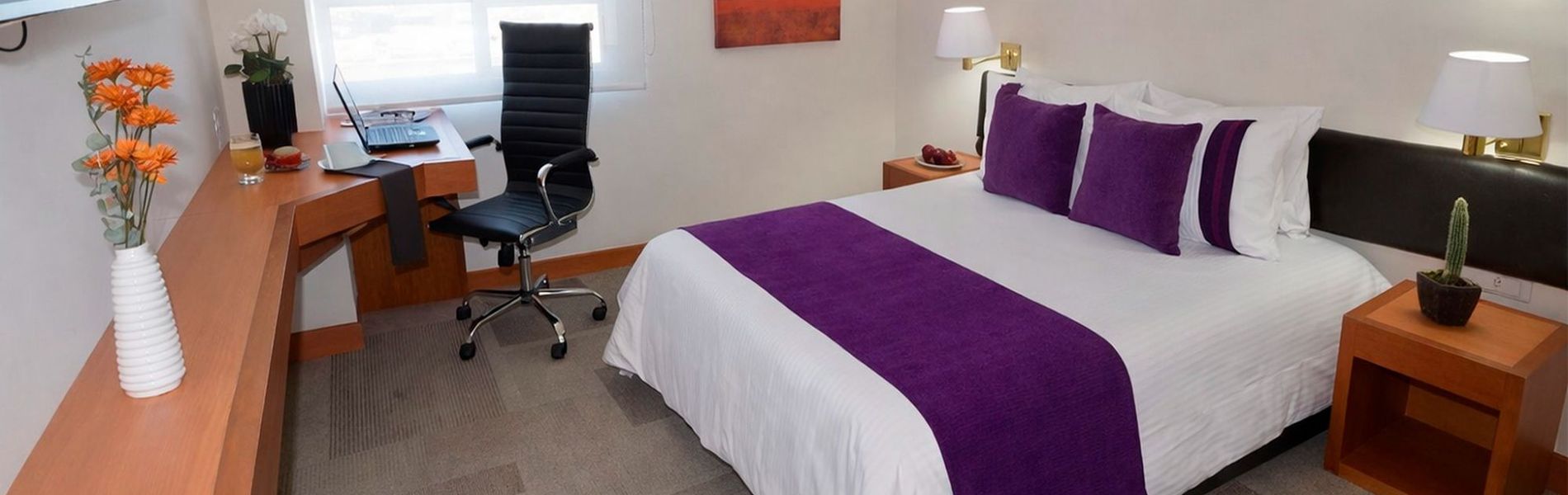 Hotel Lois Express Monterrey Aeropuerto La Fe