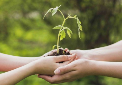 POLÍTICA DE GESTIÓN SUSTENTABLE
