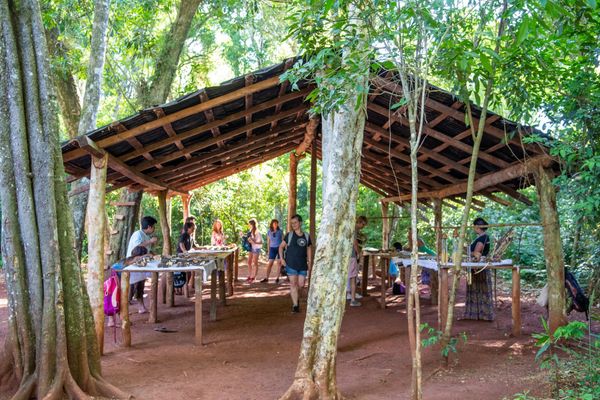 Glamping Selva Iguazú