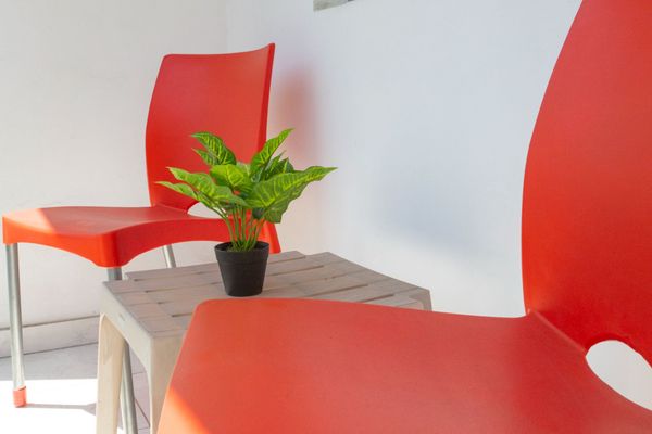 LOCAL EXPERIENCE V - 1 DORMITORIO