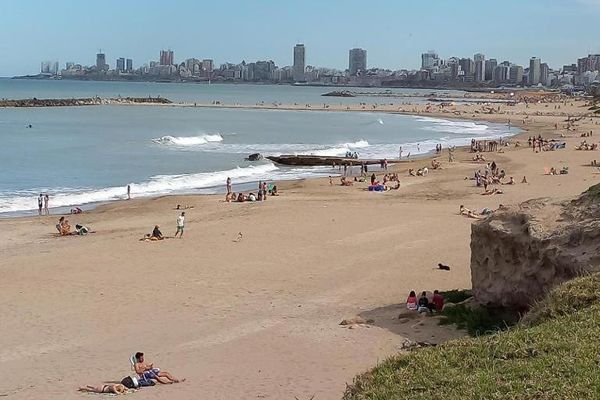 Apartamento de 2 dormitorios