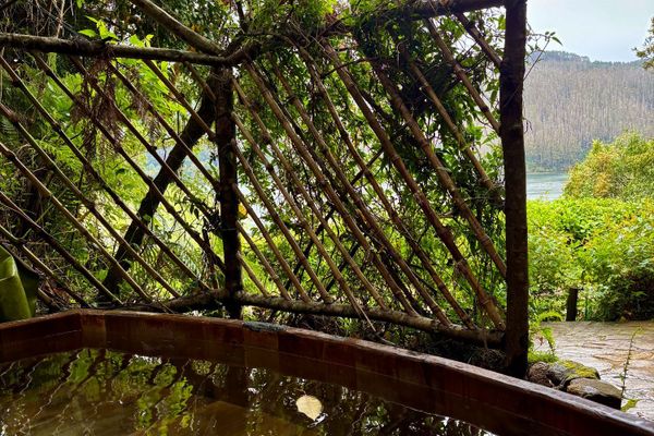 Departamento Colibri