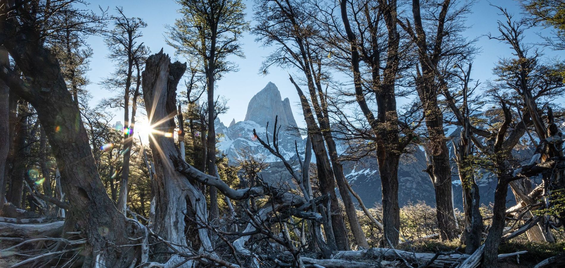 Patagonia Travellers Hostel