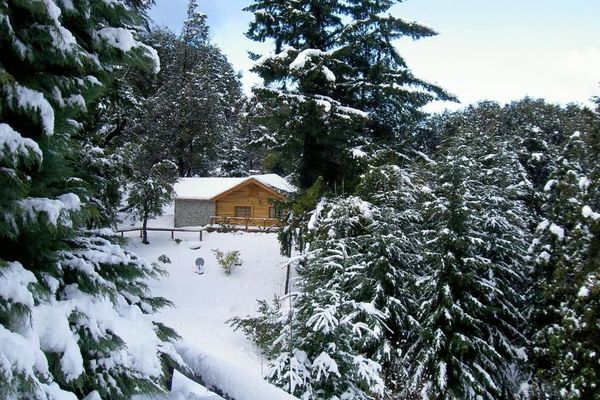 Cabaña LA ARAUCARIA