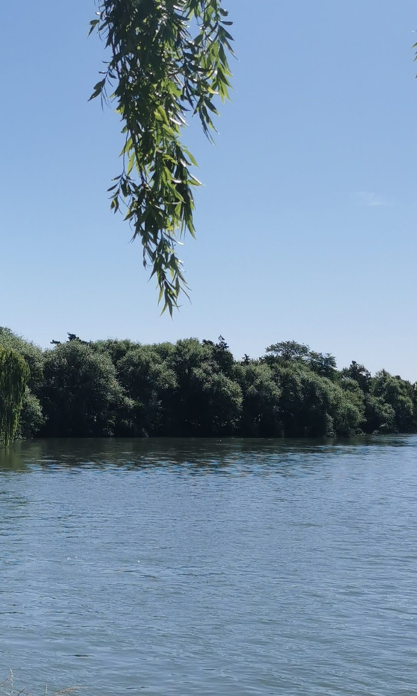 Hotel & Casino Del Rio - Viedma