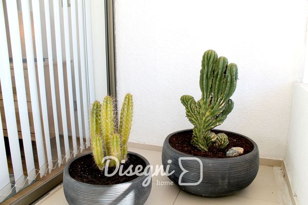 Departamento Av. Los Carrera Copiapó Disegni 07