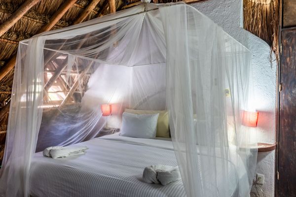 King económico, Hotel Casaejido, Playa del Carmen, México