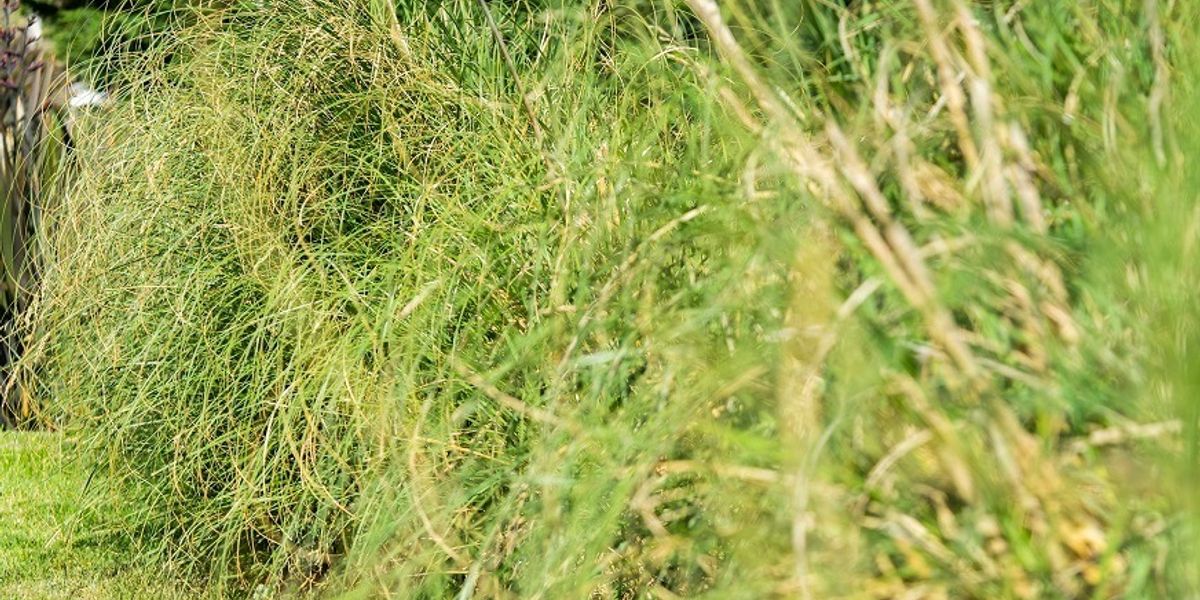 Apart Hotel Valeria Playa 