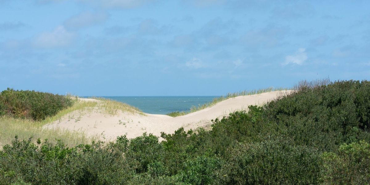 Apart Hotel Valeria Playa 