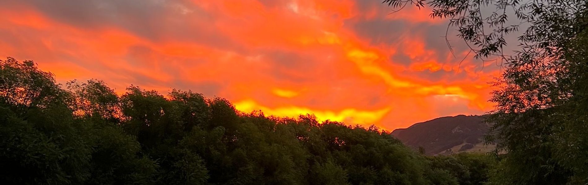 Cabañas Entre Sauces