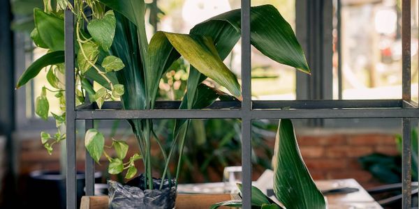 Apart Hotel Ribera del Baradero