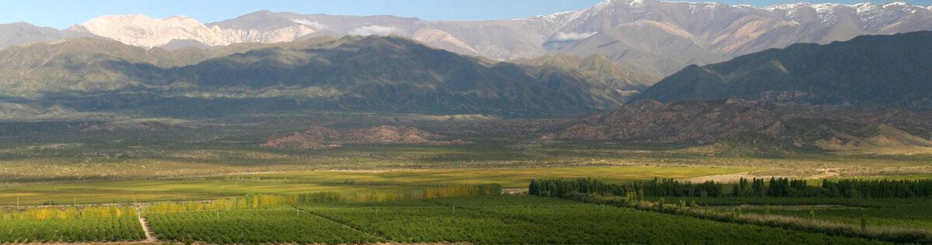 Del Bono Central Hotel 5 stars