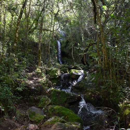 Mesón de Las Cañas