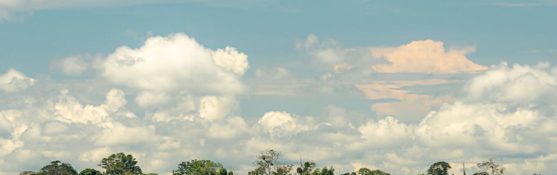 Heliconia Amazon River Lodge