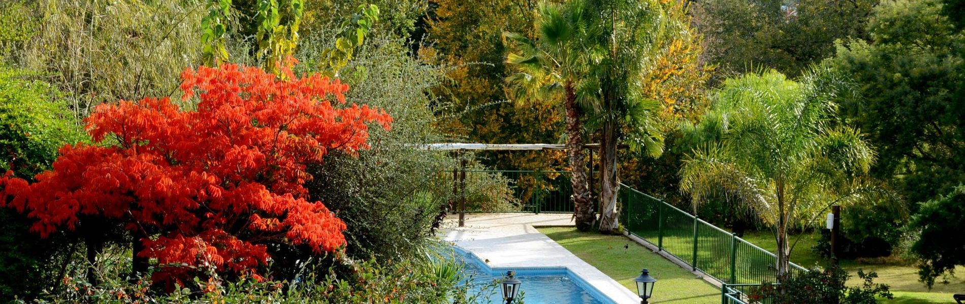 LAS ARDILLAS - CABAÑAS & SUITES - LA FALDA